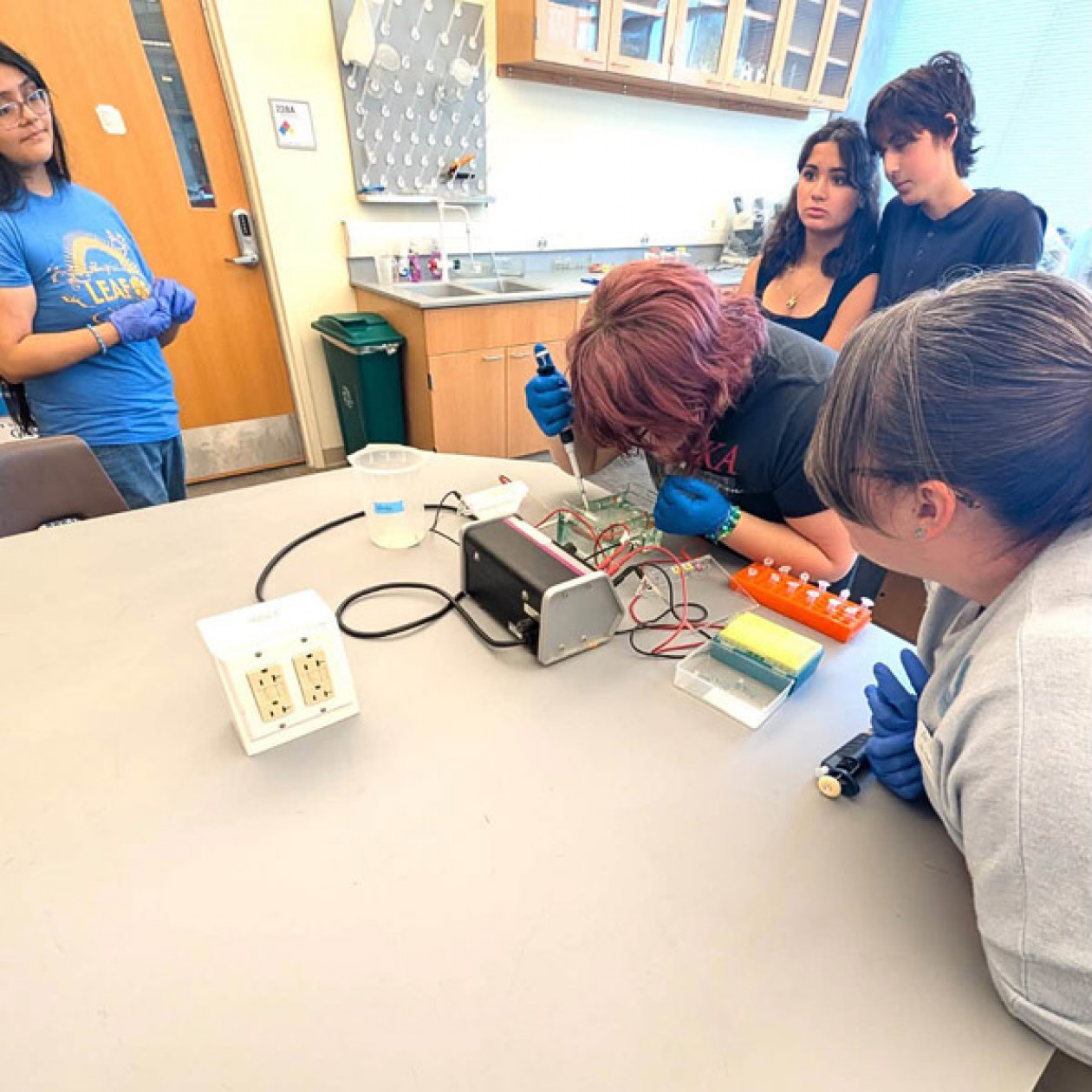 A group of students works with lab equipment.