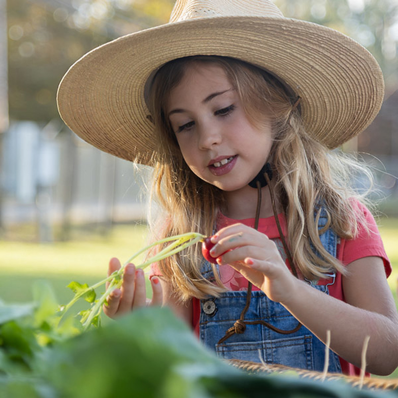A girl wearing a wide-brimmed hat looks at a fresh raddish.