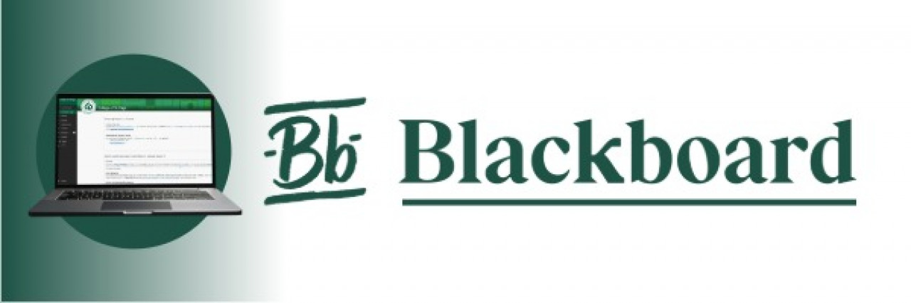 NewBbLogo26