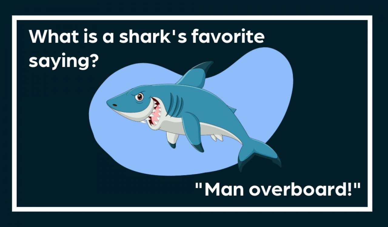 What is a shark's favorite saying? Man overboard!