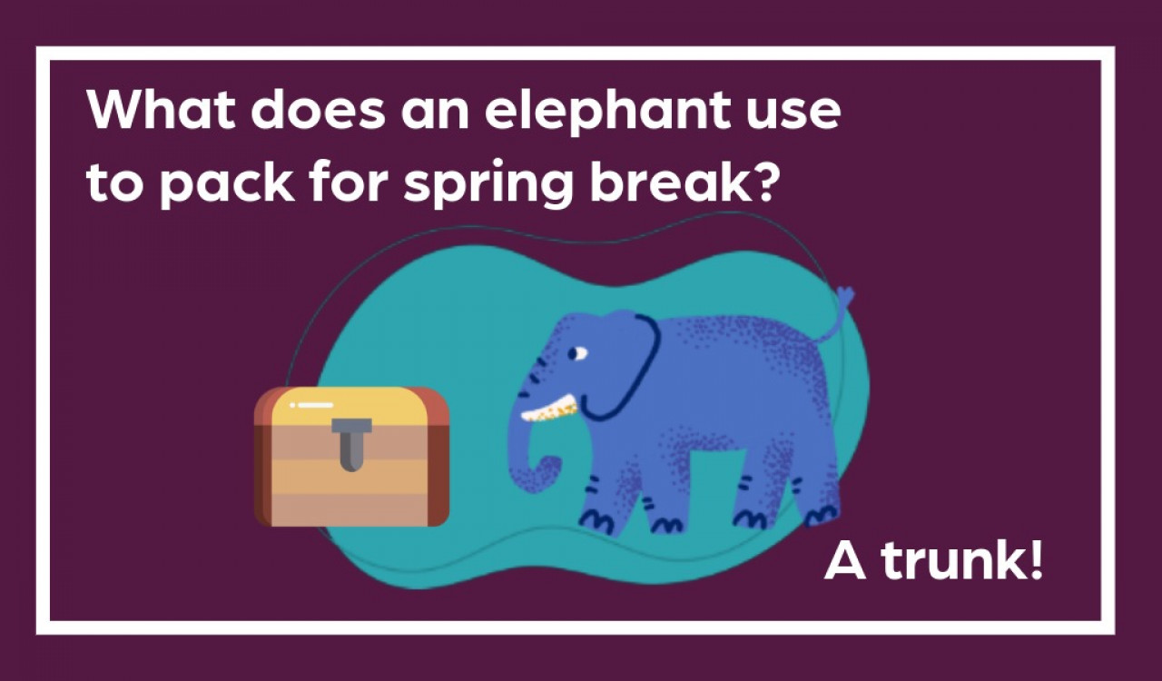 what does an elephant use to pack for spring break? a trunk! 