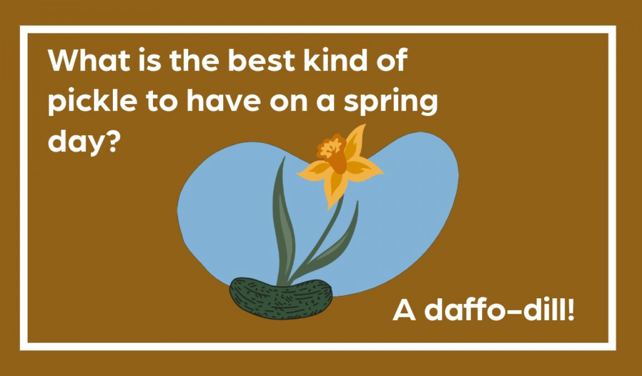 what is the best kind of pickle to have on a spring day? a daffo-dill! 