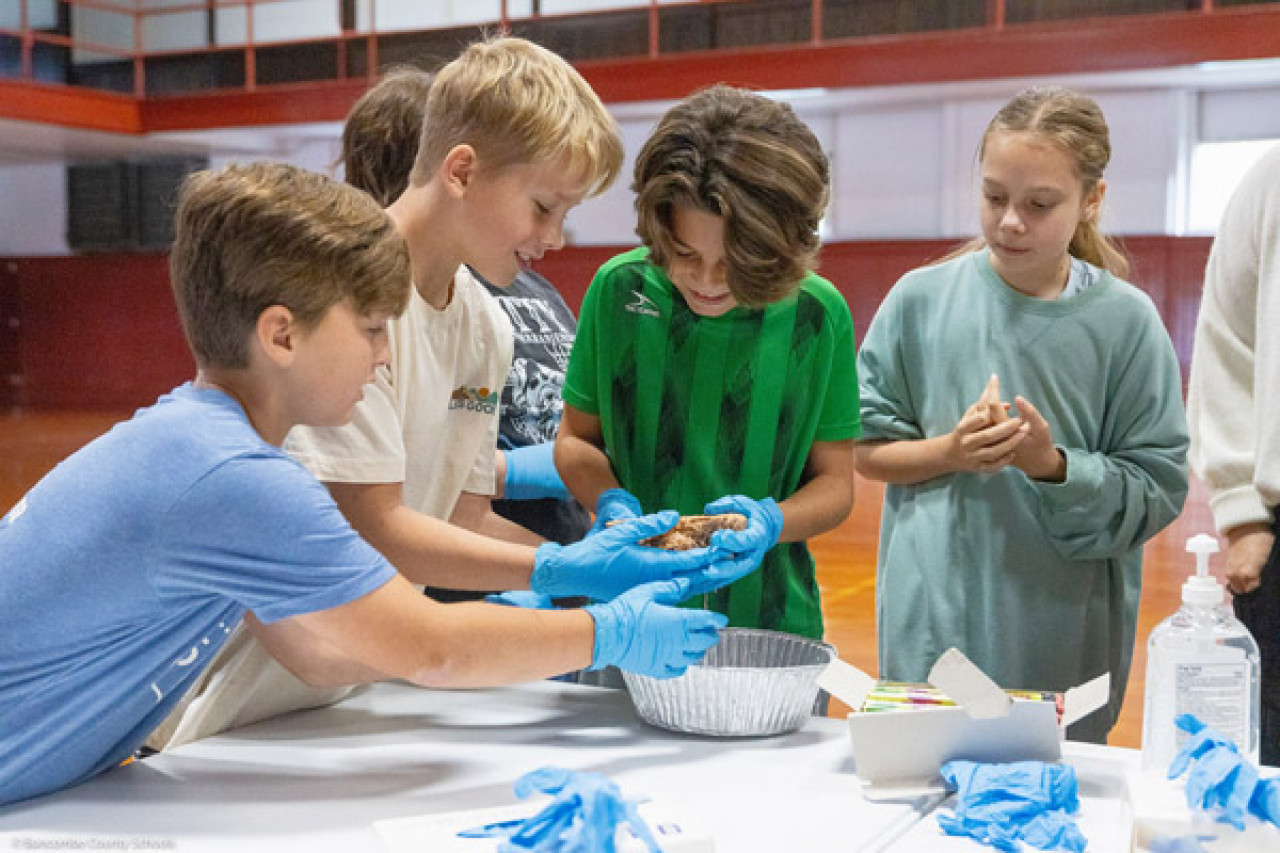 Four students gather around a table while two hold a human brain.