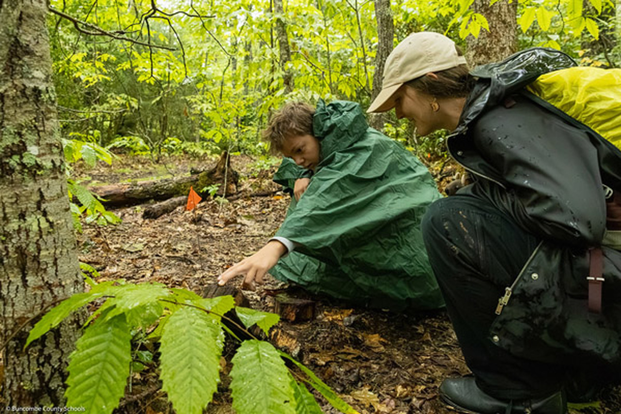 A student overturns a piece of wood while looking for salamanders as a park ranger watches.