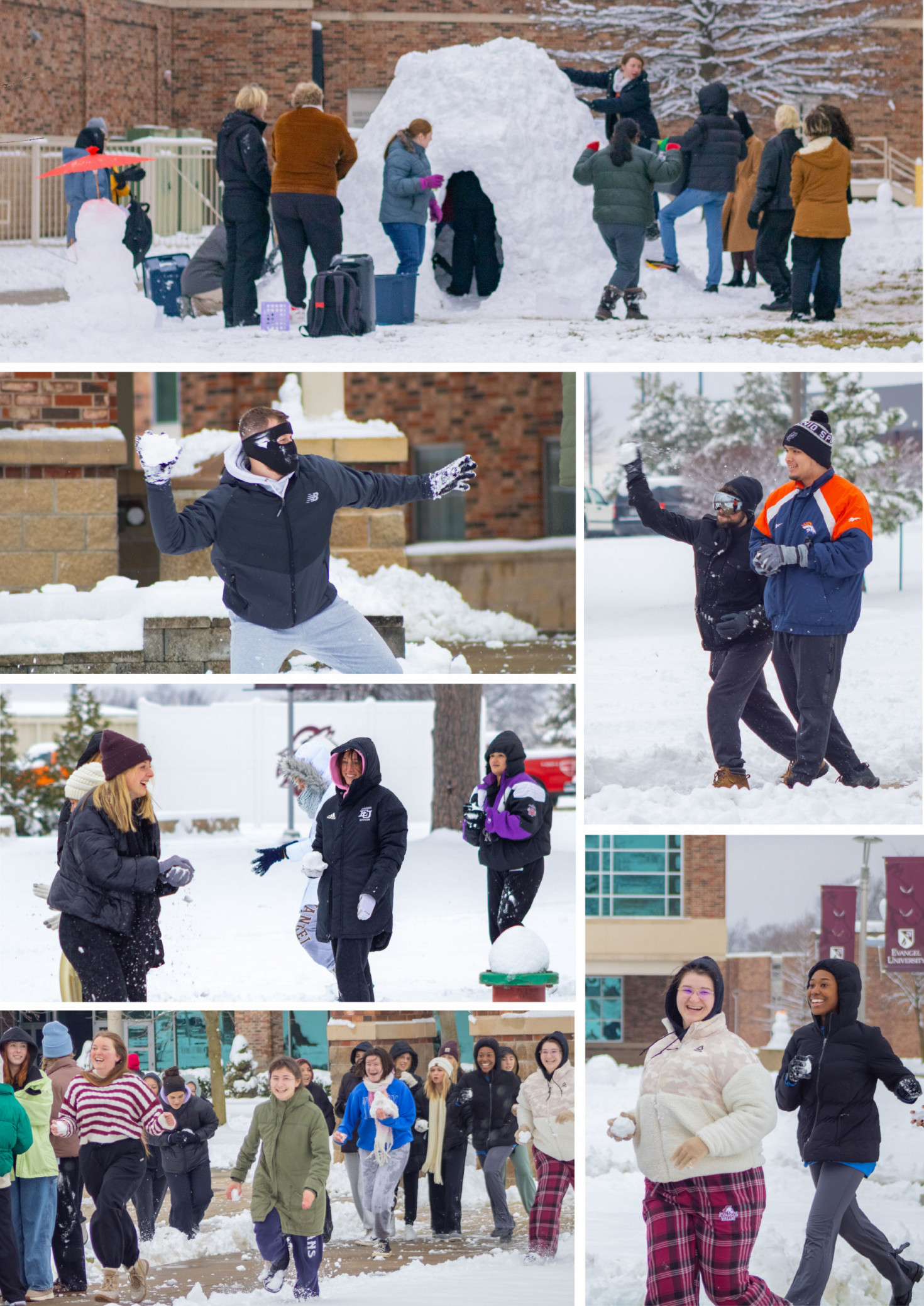 Photos from January`s snowday.