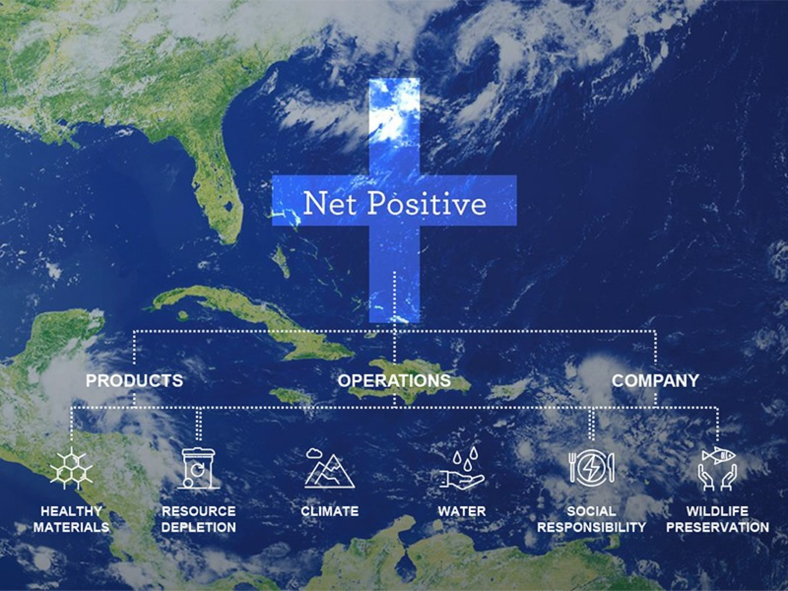 Blog-Net-Positive_v2