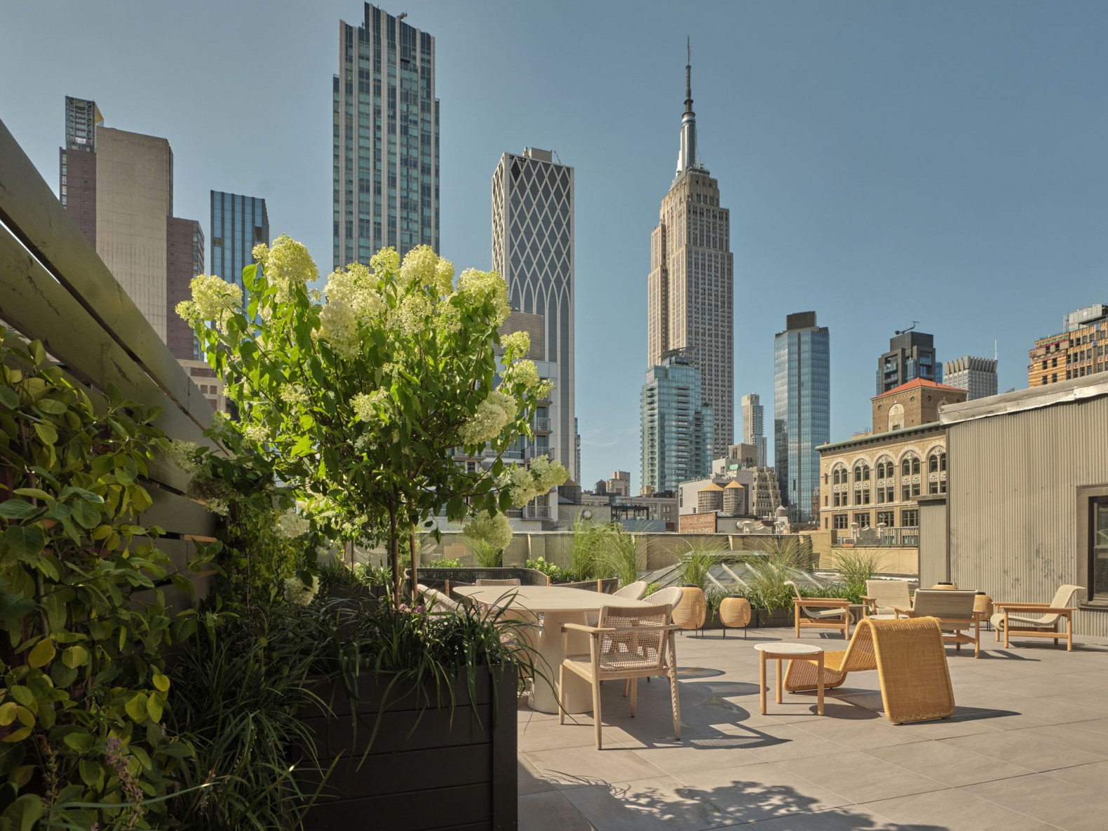 suite ny