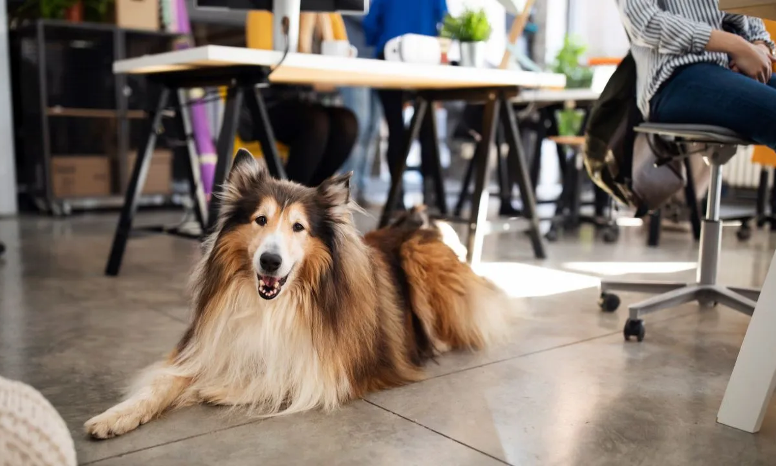These Are The Best U.S. Cities For Coworking Amenities