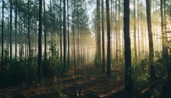 appolinary-kalashnikova-WYGhTLym344-unsplash