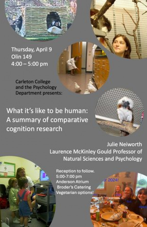 Farewell Presentation by Psychology Professor Julie Neiworth poster
