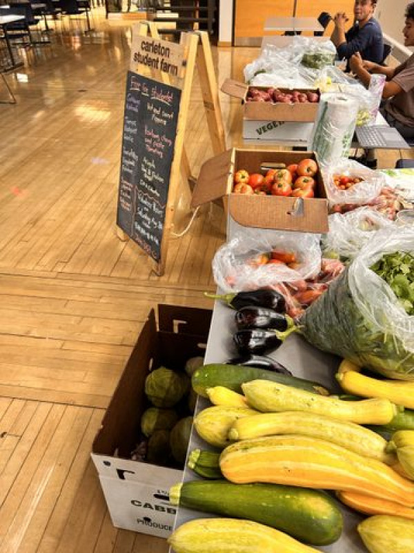 Carleton student farm produce display