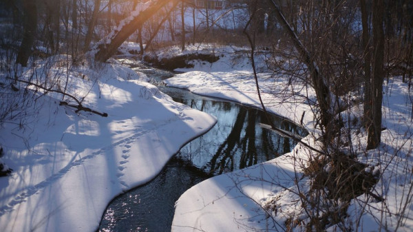 SpringCreekByWaltLi23_