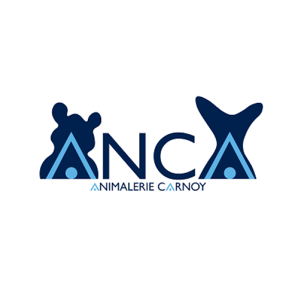 ANCA_carre_400_Def