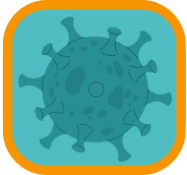 Round, teal bacteria with orange border