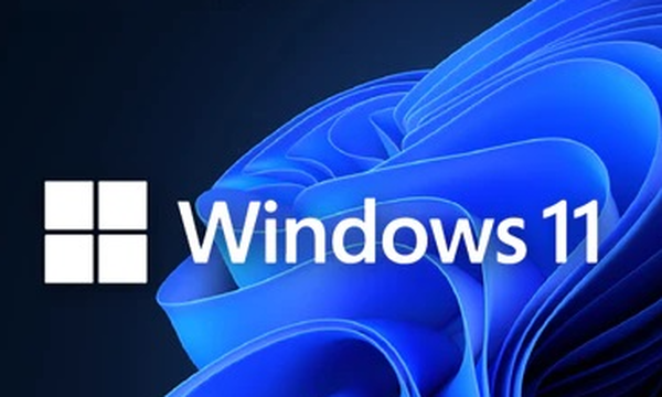 W11 logo