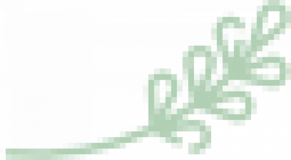 shape-1814779-2