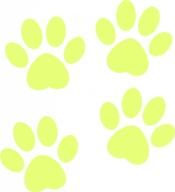 paws