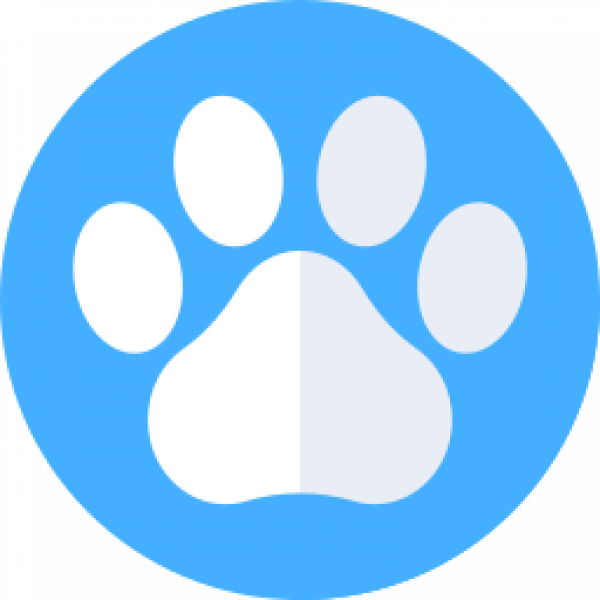 footprint