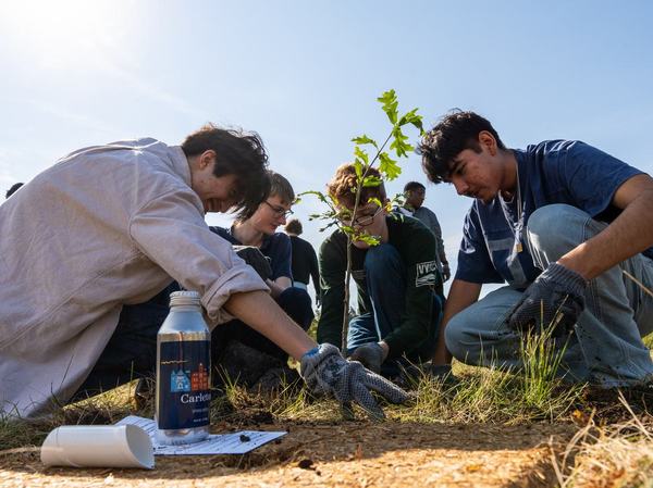 Four students plant a tree