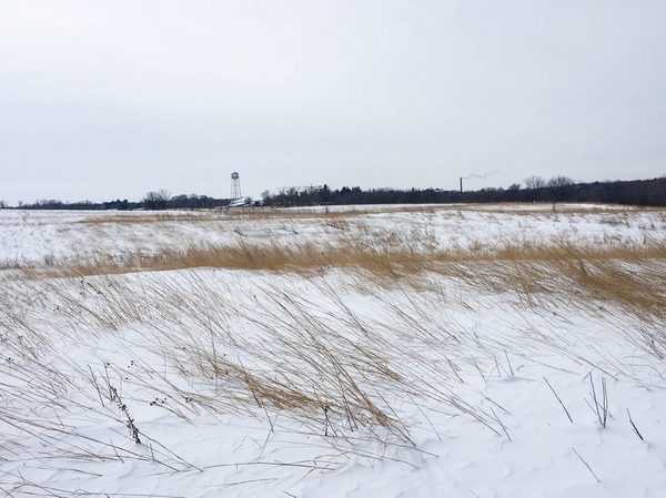 Snow and grass covered winter prairie