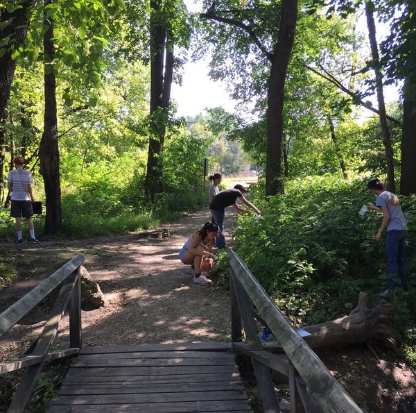 Students learning in the Arb. Photo credit: Sarah Deel.