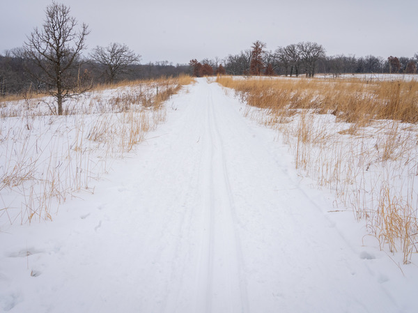 Arboretum in winter with snow covered trail