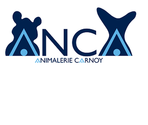 ANCA_carre_400_Def