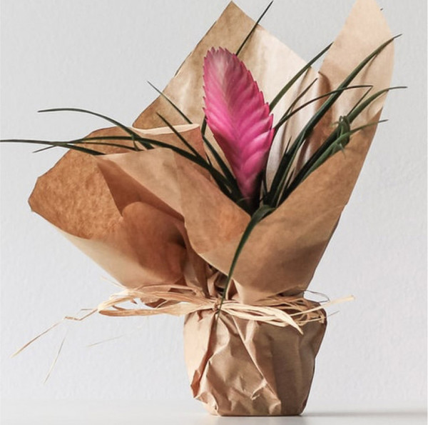 florist-template6-1791588-3