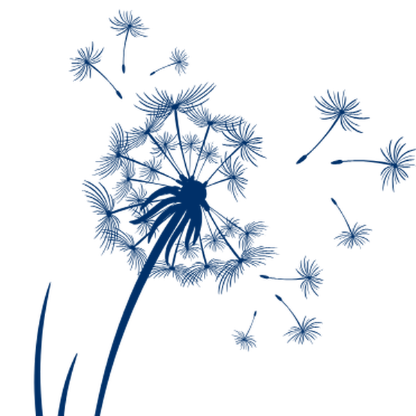 illustration of dandelion