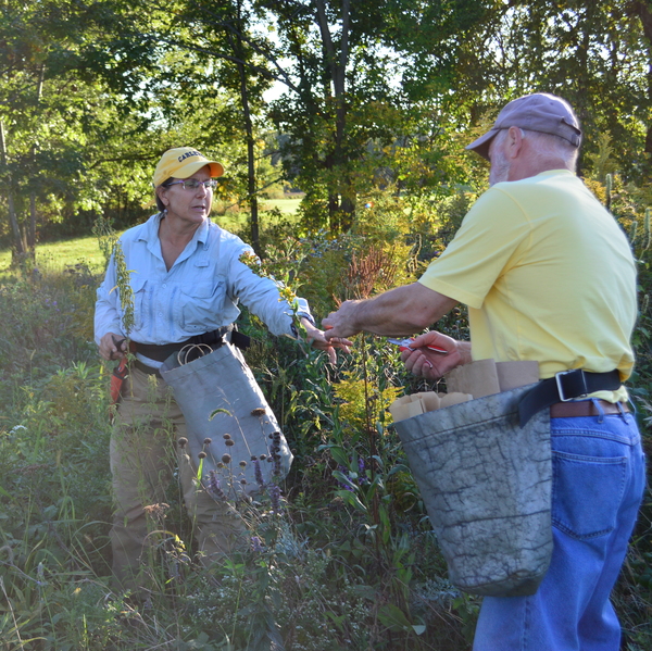 Arb seed collecting