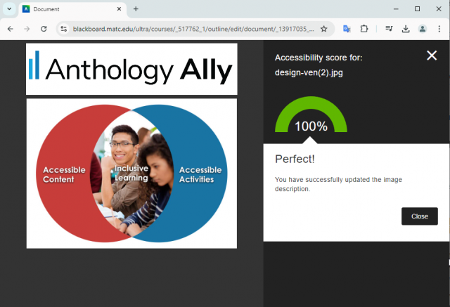 Ally Demonstration Video