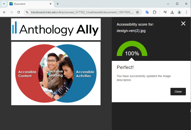 Ally Demonstration Video
