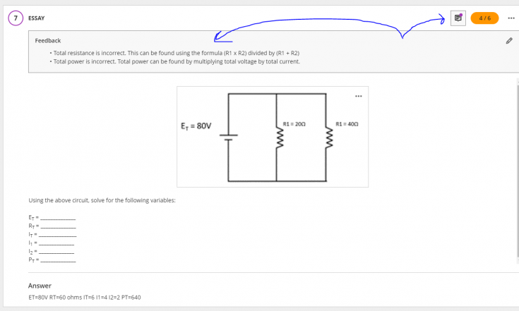 Screenshot of individual test feedback